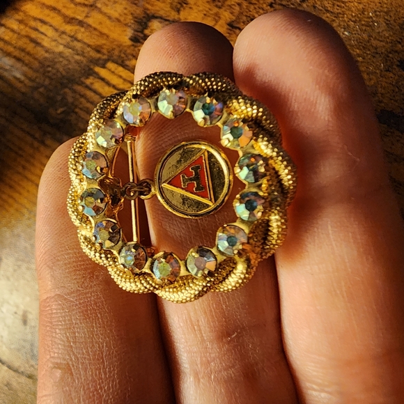 Vintage Daughters of Rebekah Masonic charity circle pin with aurora borealis - Picture 4 of 5